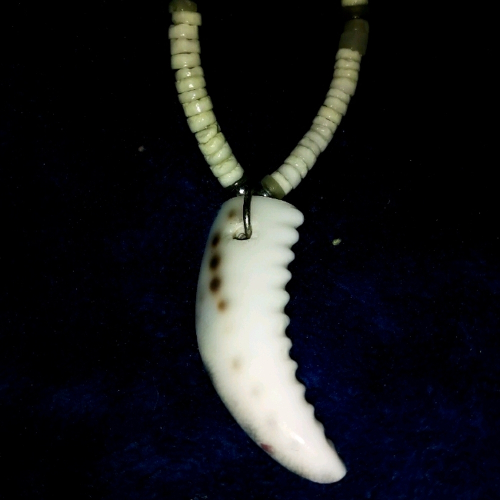 100% shell necklace